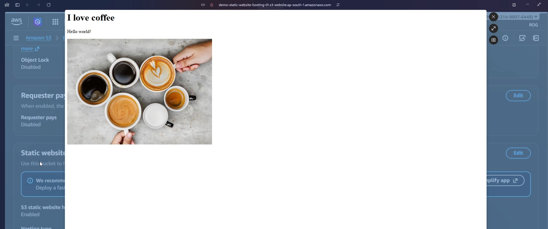 Website successfully hosted on S3