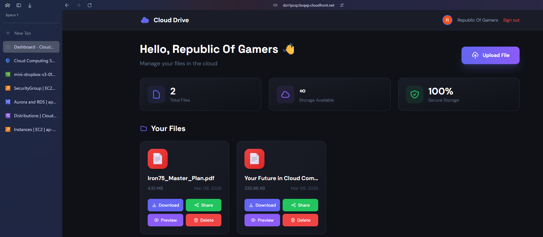 Dashboard view with uploaded files
