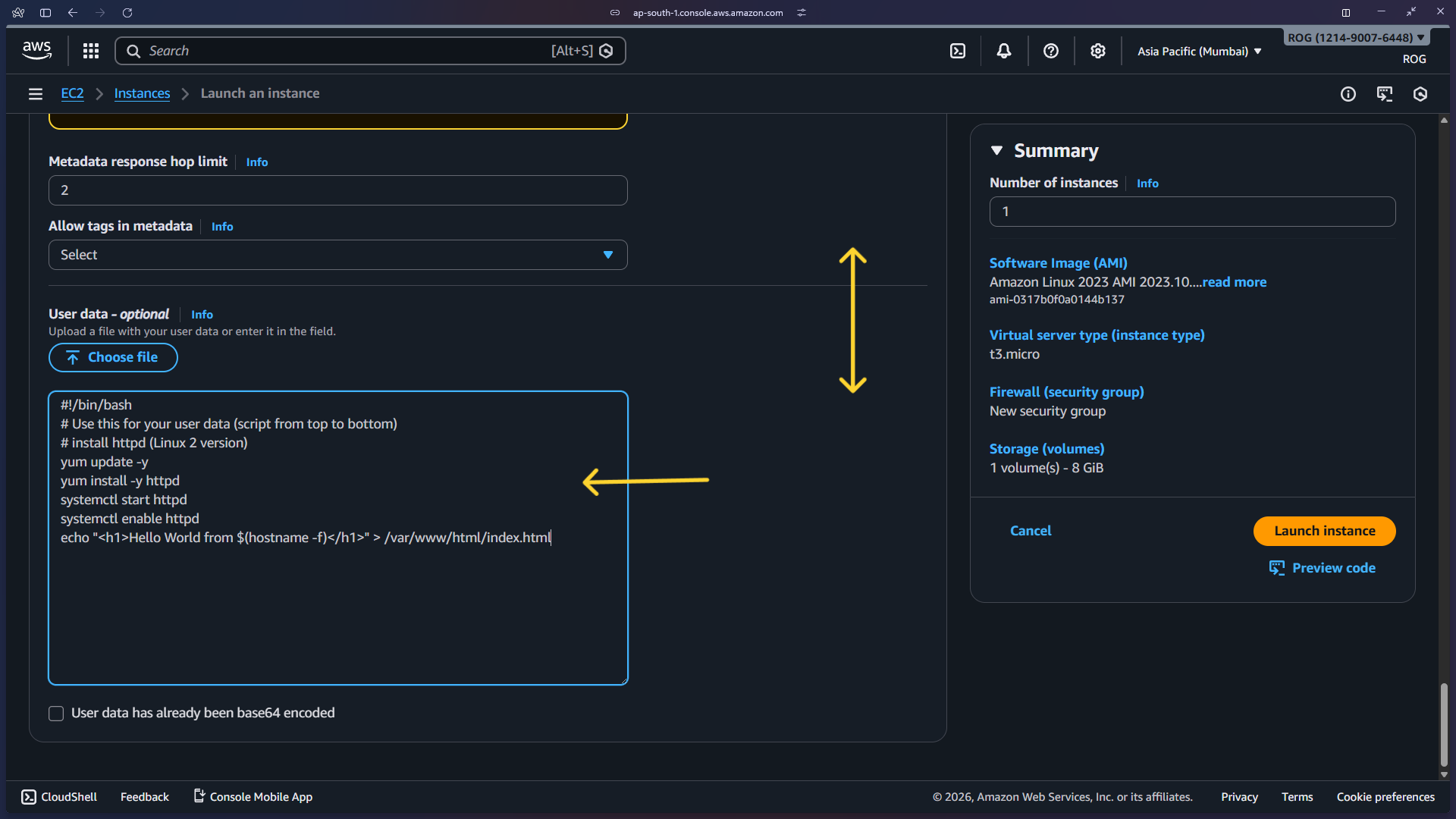 User data script entered – launching 2 instances
