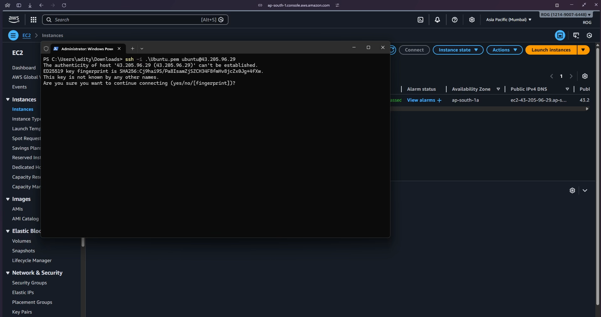 Step 9: Launch Status